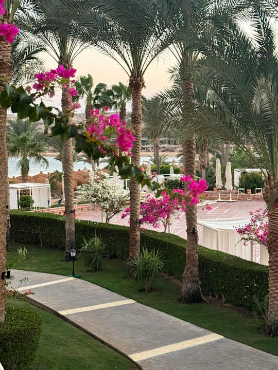 Gartenanlage Steigenberger Coraya Beach - Adults only