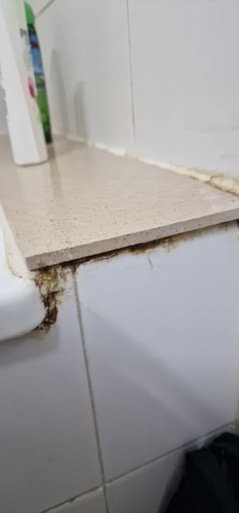 Zimmer Globales Acuario