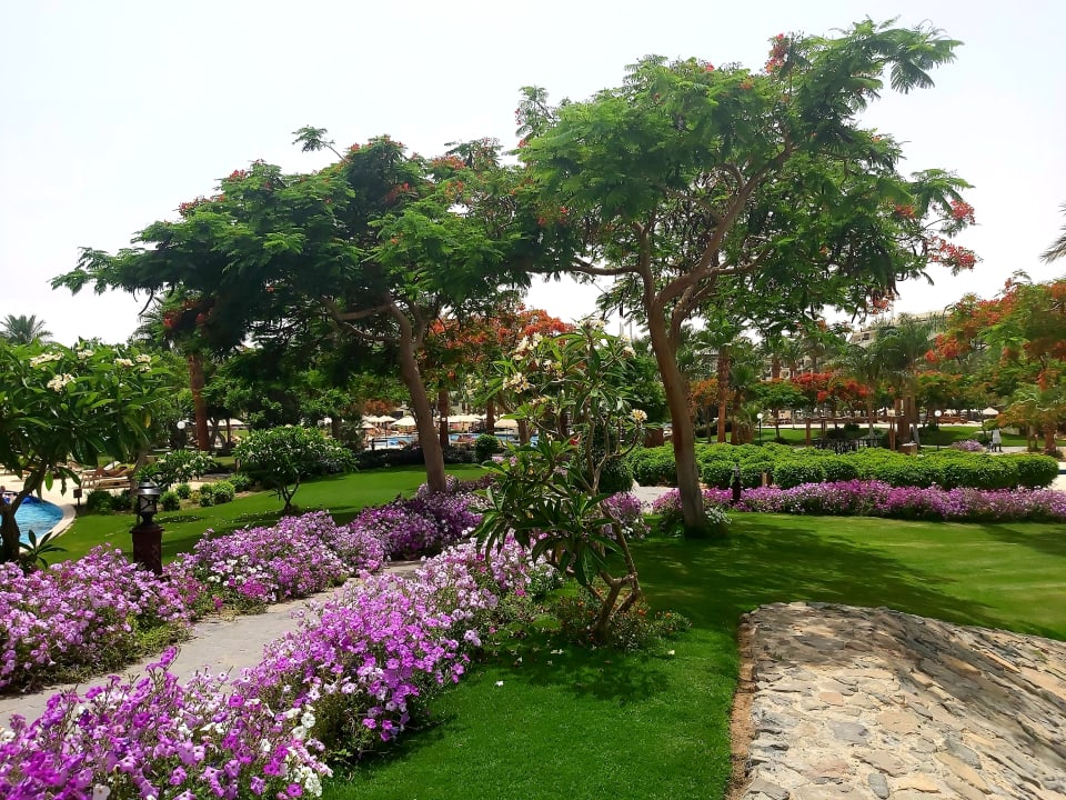 Gartenanlage Steigenberger ALDAU Beach Hotel