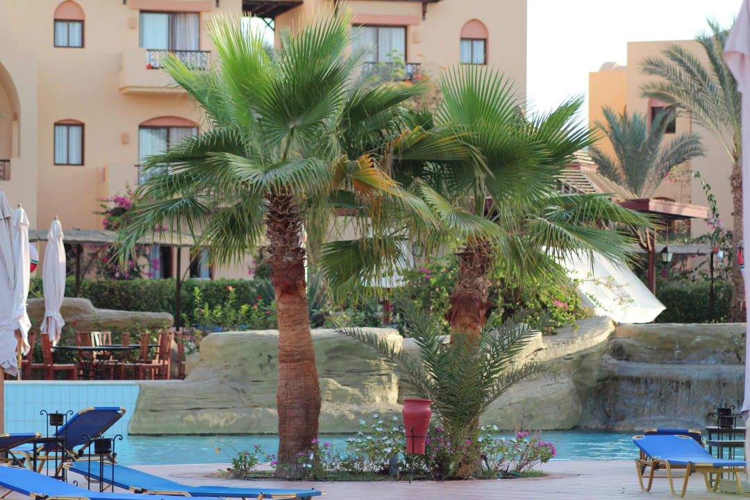 Pool Steigenberger Coraya Beach - Adults only