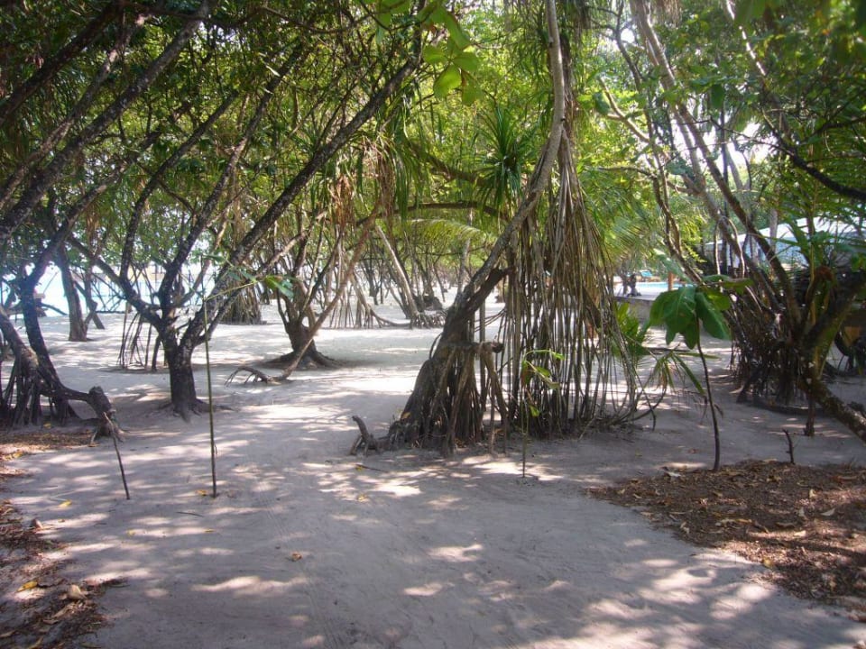Wege auf der Barfussinsel NH Collection Maldives Reethi Resort