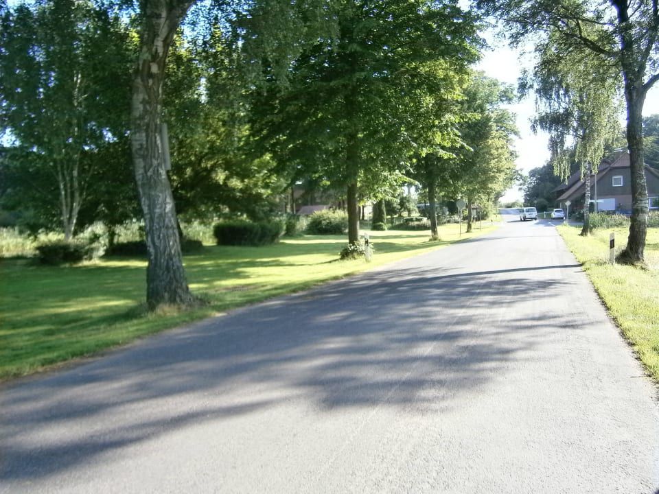 Strasse zum Hotel Ringhotel Forellenhof Walsrode