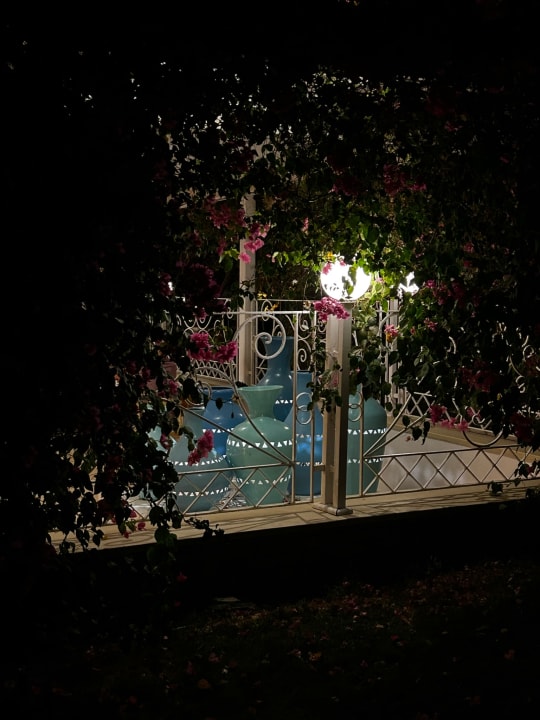 Sonstiges Desert Rose