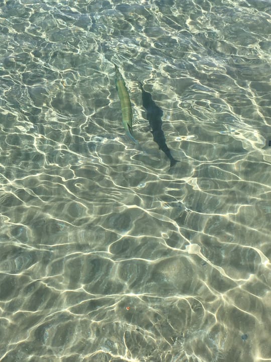 Strand Cleopatra Luxury Resort Makadi Bay