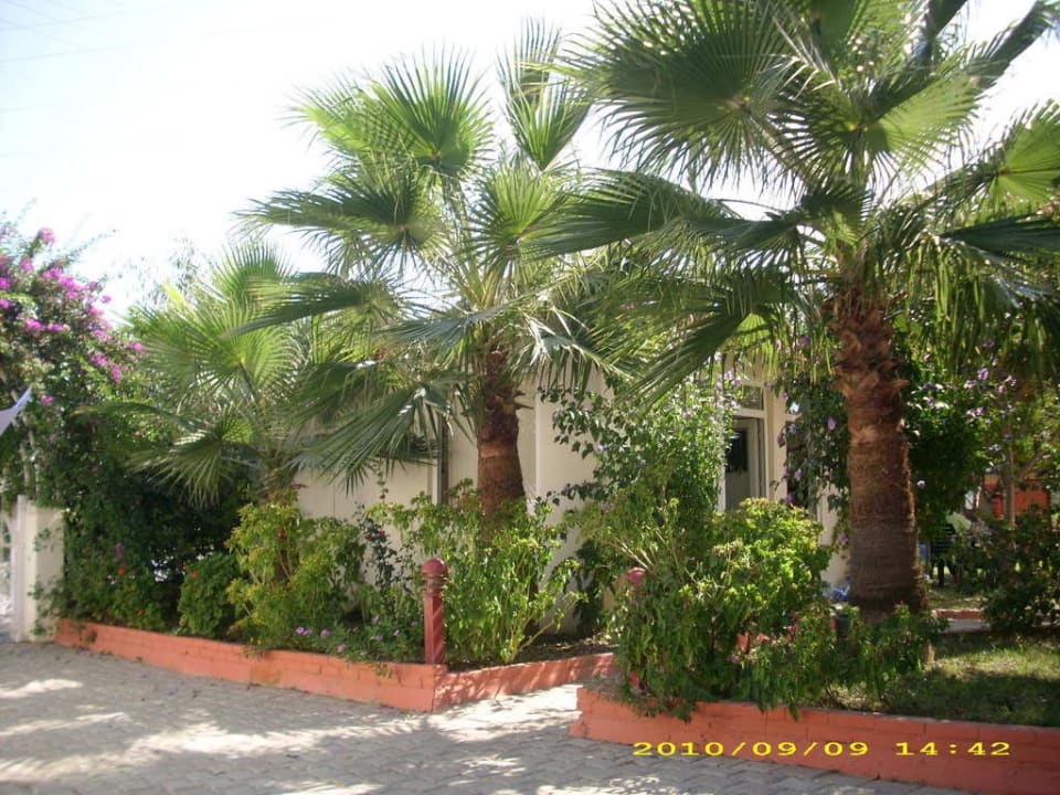 Außenanlage New Garden Hotel Side