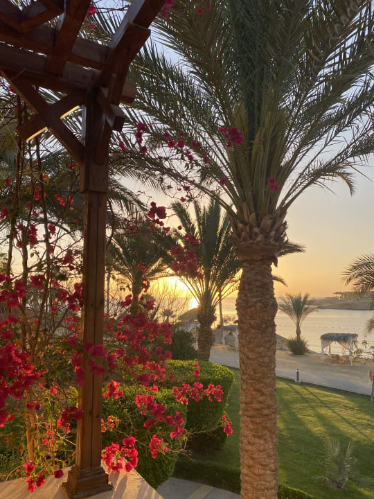 Ausblick Steigenberger Coraya Beach - Adults only