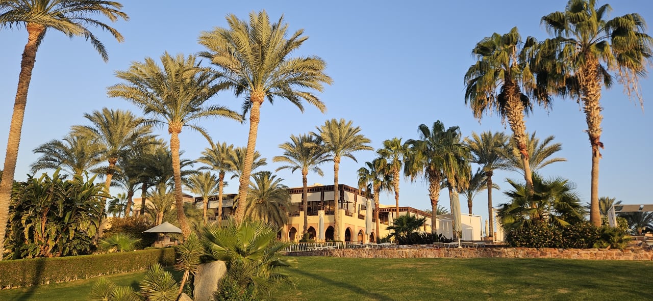 Gartenanlage Steigenberger Coraya Beach - Adults only