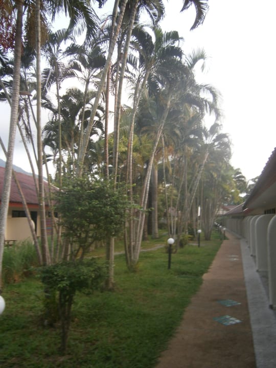 Garten Deevana Patong Resort & Spa