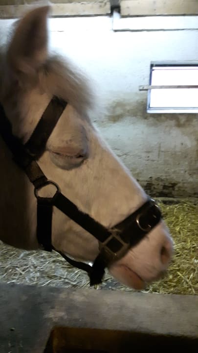 Sport & Freizeit Nordseeferienhof Katthusen