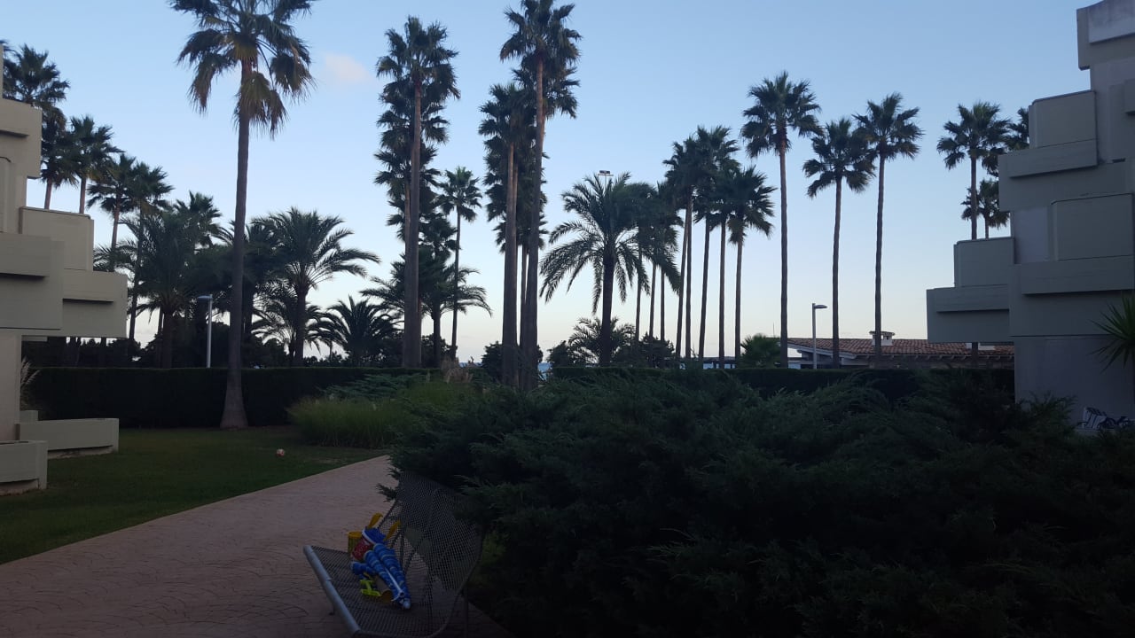 Gartenanlage Hipotels Mediterraneo Club