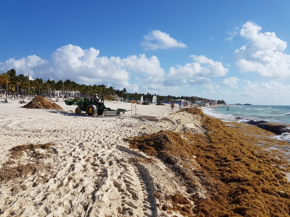 Strand Viva Azteca by Wyndham - All Inclusive Resort