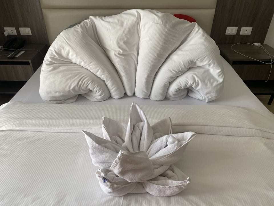 Zimmer Pickalbatros Palace Resort