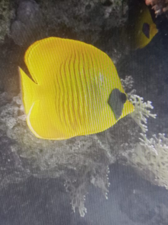 Sport & Freizeit Brayka Bay Resort