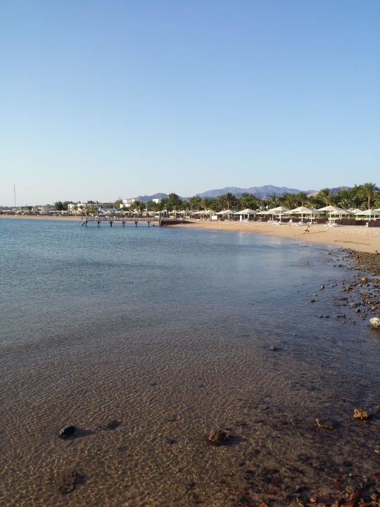 Blick vom Bootsanleger zum langen schönen Strand Menaville Safaga