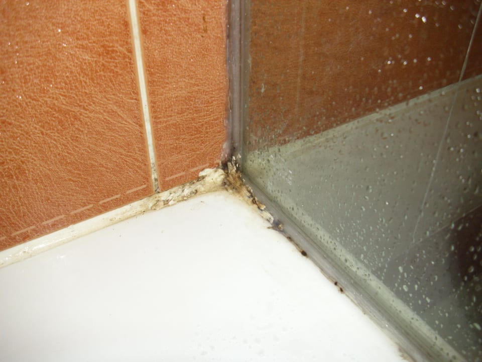 5 Sterne Dusche Jaz Grand Marsa