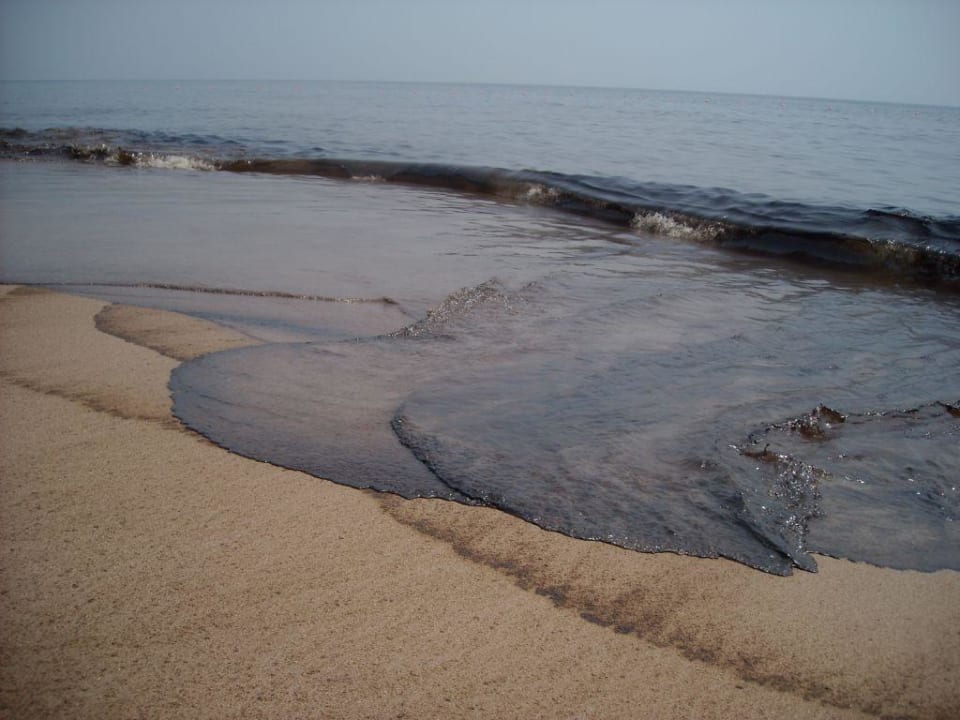 Meer und Hotelanlage Miramar Al Aqah Beach Resort