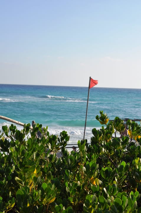 Am Hotelstrand war es sehr windig Hotel Cayo Largo del Sol
