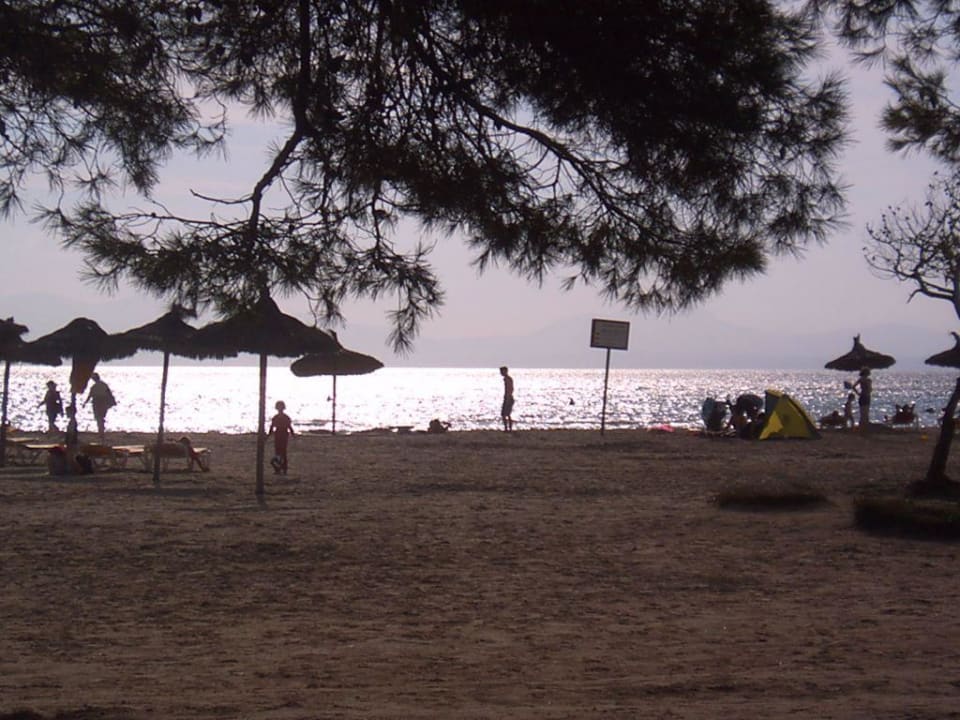 Strand Alcudia Garden Aparthotel