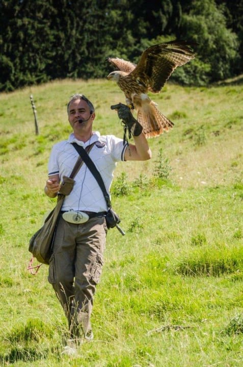 Flugshow Hotel Panorama