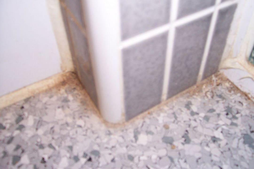 Unsere Haustiere im Bad Apartamentos Turísticos Mix BR AT2179