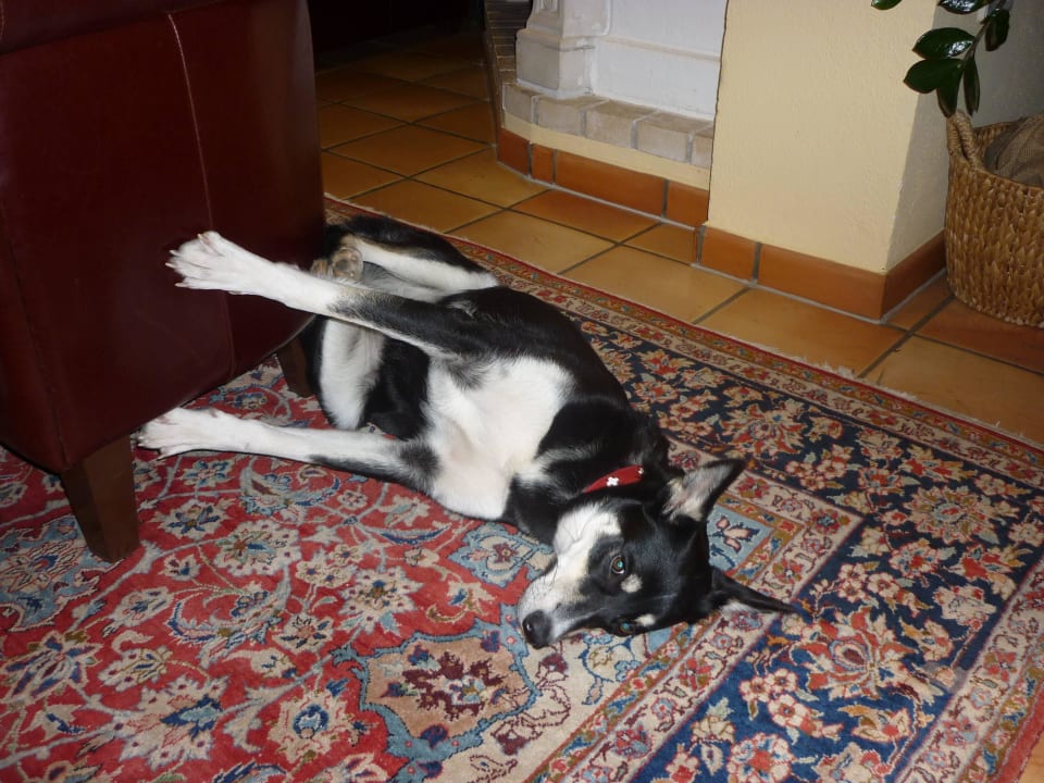 Schön ist es hier Hotel Johanna mitten im Ötztal