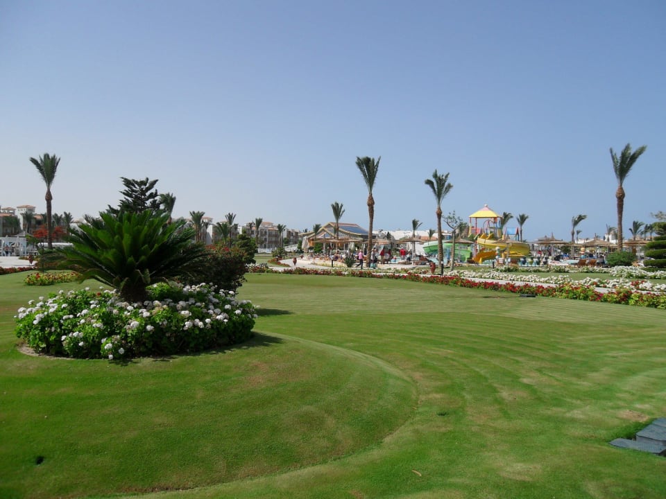 Blick Garten Pickalbatros Dana Beach Resort - Hurghada