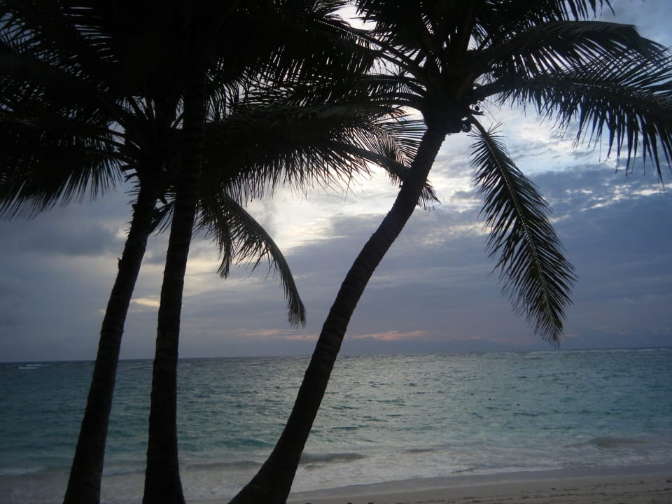 Früh morgens... Hotel Riu Palace Bavaro