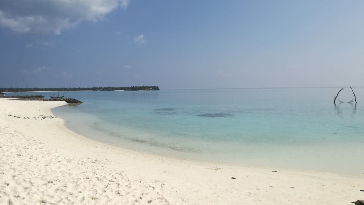 Strand Summer Island Maldives