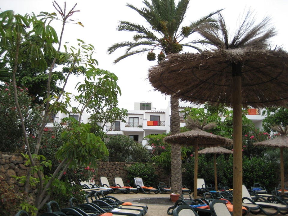 Pool und Garten allsun App.-Hotel Albatros