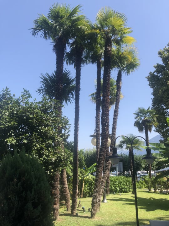 Außenansicht H4 Hotel Arcadia Locarno