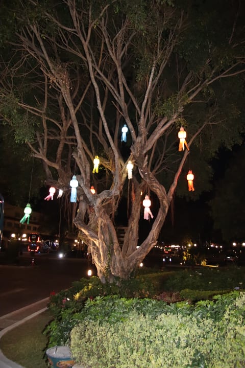 Gartenanlage The Heritage Chiang Rai