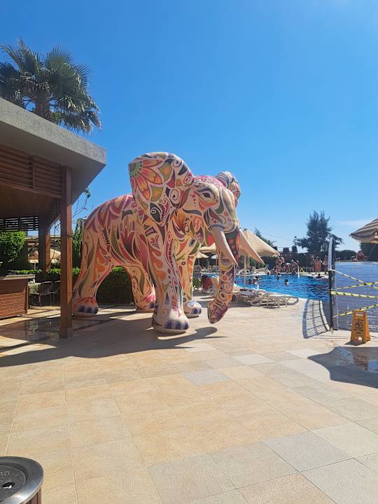 Pool Adalya Ocean Deluxe