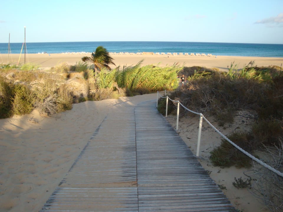 Der Weg vom Hotel zum Strand SBH Hotel Costa Calma Palace