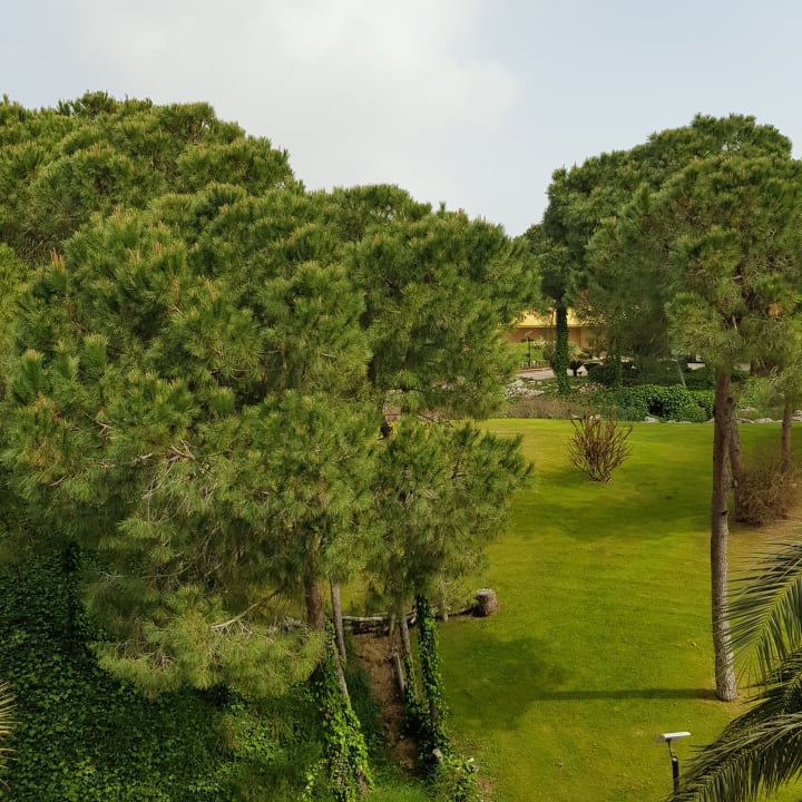 Ausblick Asteria Family Belek