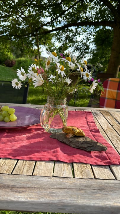 Gartenanlage Steinermühle Waltersdorf