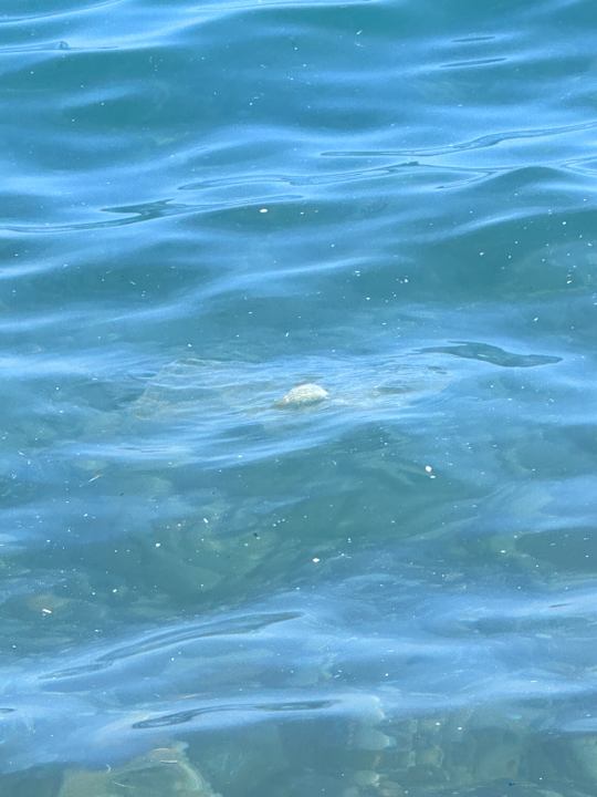 Strand The Marilis Hill Resort Hotel & Spa Ultra All Inclusive