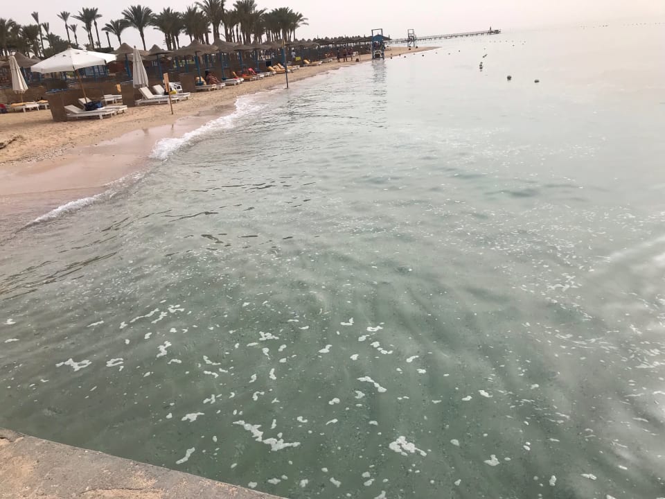 Strand Marina Resort Port Ghalib, a member of Radisson Individuals