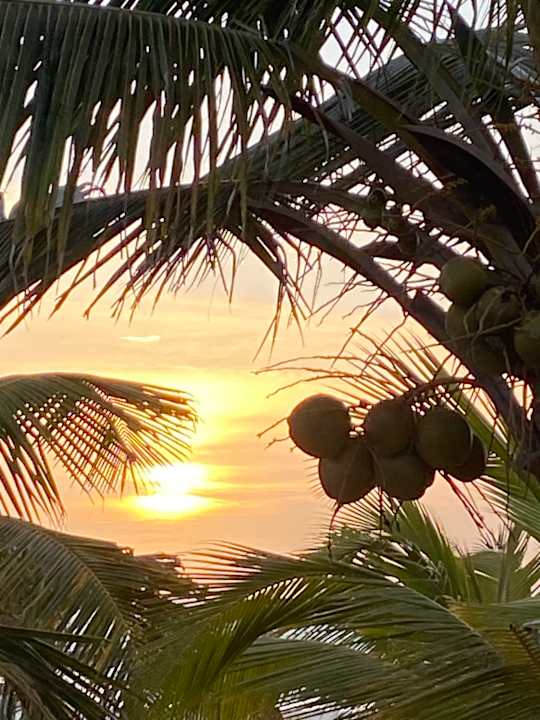 Ausblick Hotel Riu Palace Boavista