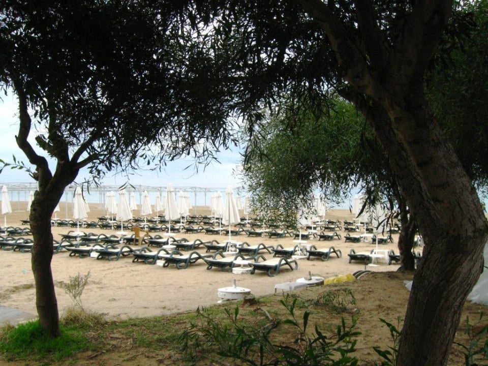 Strand im Winter Villa Side Residence