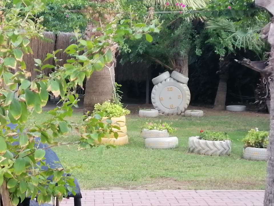 Gartenanlage Hane Family Resort