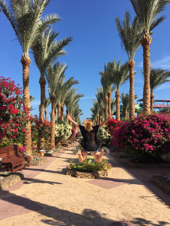 Gartenanlage Riviera Aqua Park Resort