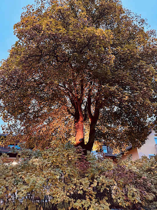 Außenansicht Familotel Mein Krug