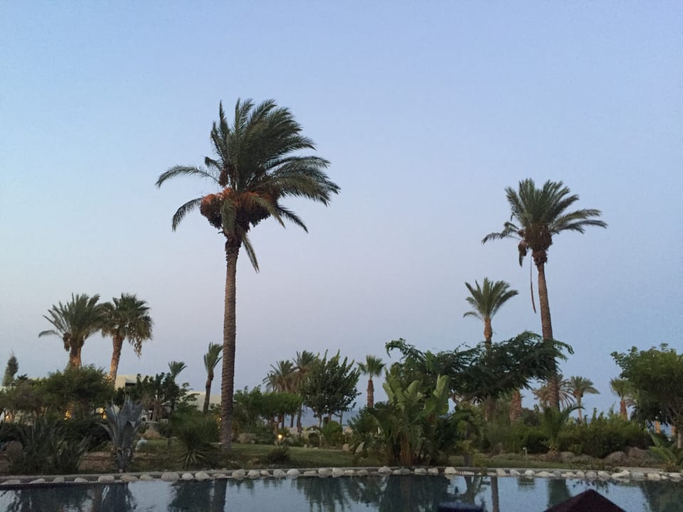 Gartenanlage Grecotel LUXME Kos