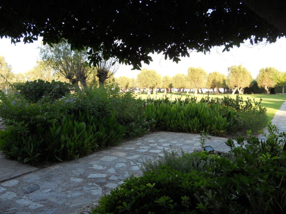 Der Park  Grecotel LUXME Dama Dama
