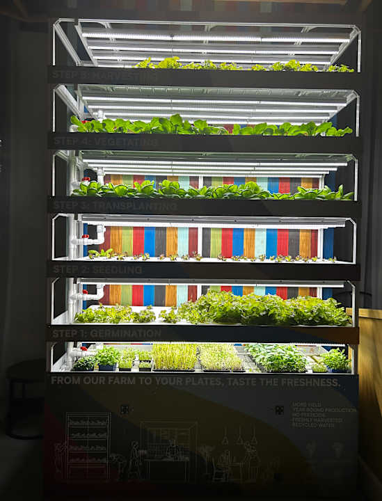 Gastro NH Collection Dubai The Palm