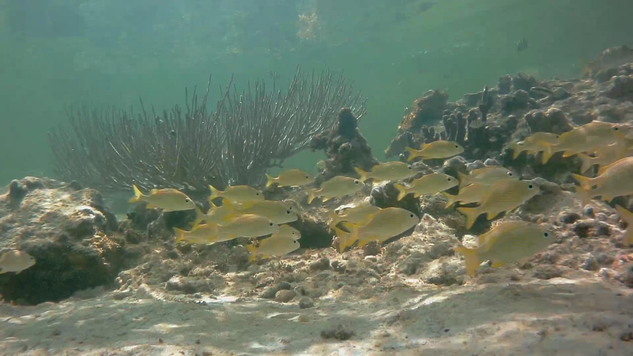 Sport & Freizeit Akumal Bay Beach & Wellness Resort