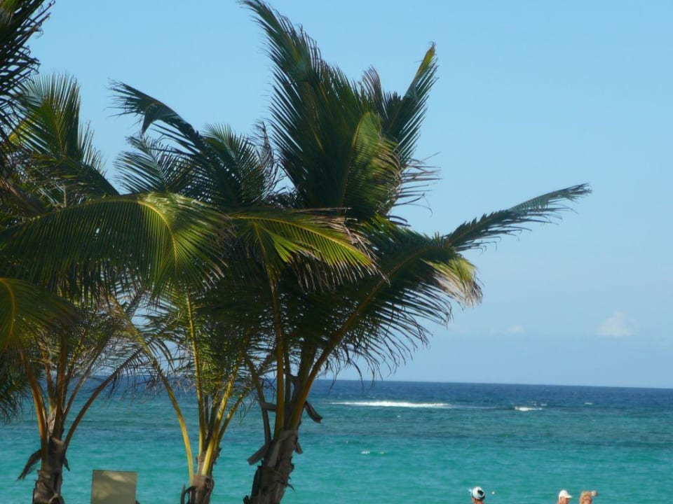 Aussicht Hotel Riu Palace Punta Cana