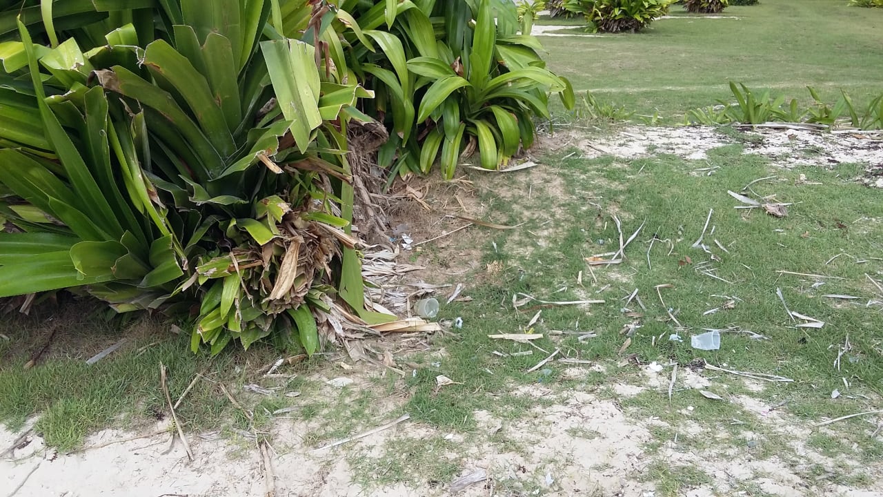 Gartenanlage Punta Cana Princess All Suites Resort & Spa