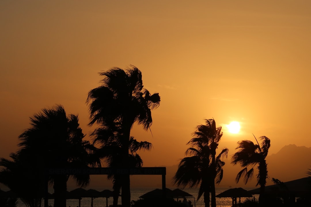 Ausblick Hotel Sheraton Soma Bay Resort