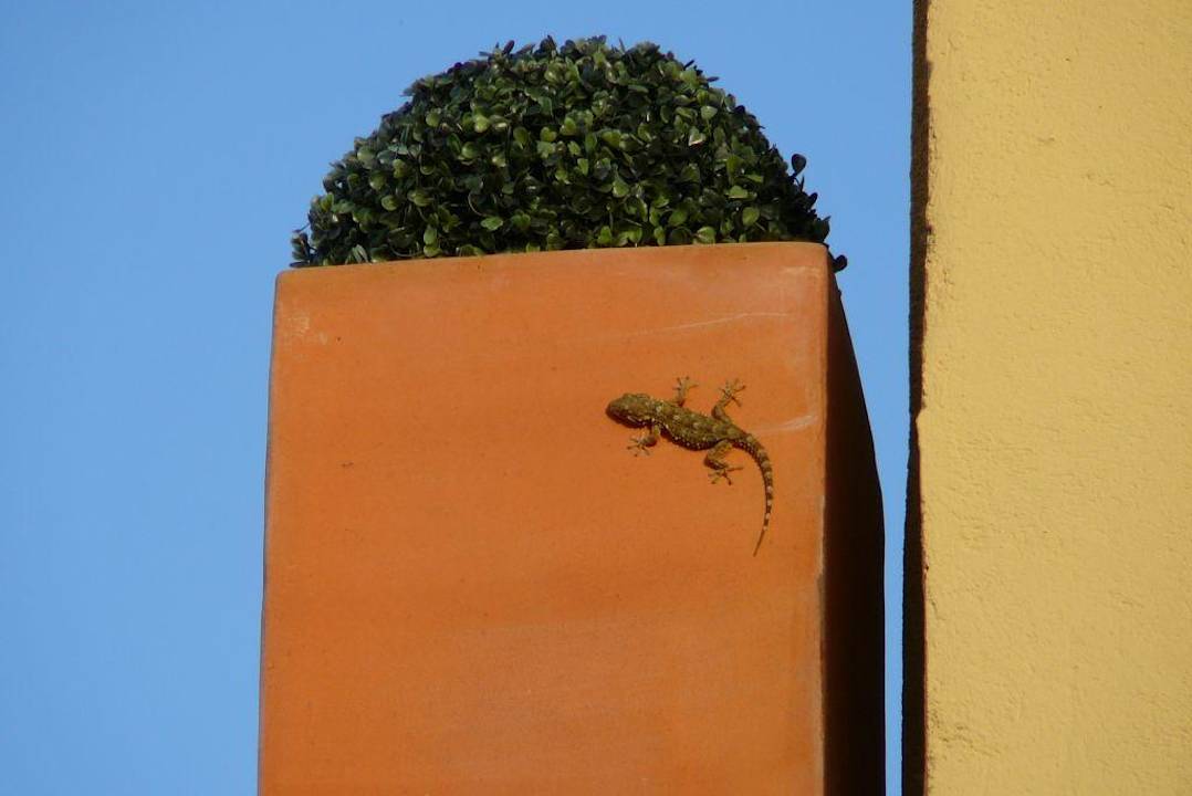 Natur pur! Finca Amapola - Agrotourismus Hotel